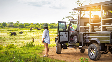 Tanzânia Safari Experience